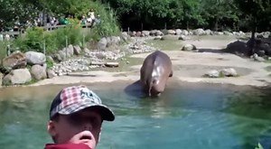 Hippo Lets Out World’s Biggest Fart