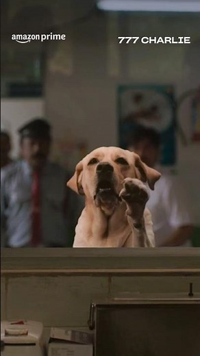 777 more reasons to watch 777 Charlie 🐕 | Rakshit Shetty | #primevideoindia