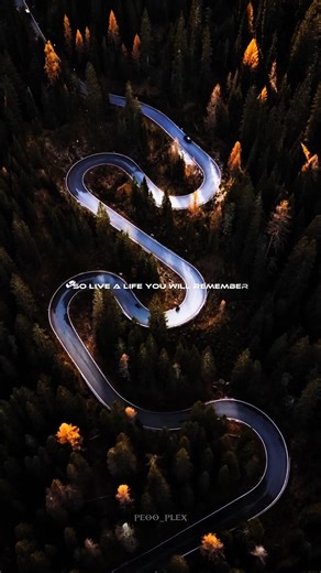The Nights - Avicii 🍁 |lyrics |aesthetic |english songs |Slowed |whatsapp status |speed up