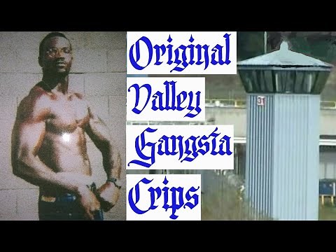 Prison Stories Original Valley Gangsta Crip In California State Prison CDCR