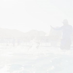 🐬 Bring your dreams to life with a chance to swim with dolphins in Mexico! Cabo Dolphins world-class dolphin centers are the premier place for an exciting encounter with a dolphin and for the most educational and interactive programs available 🐬 | Cabo Adventures