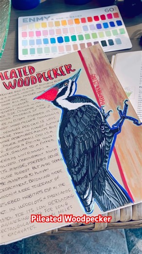 Pileated Woodpecker