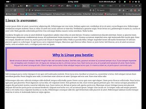 HTML and CSS - Text inside of a box!