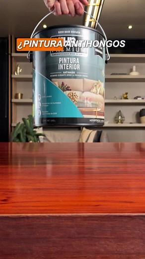 Pintura antihongos de calidad para tu hogar