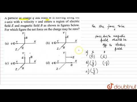 A particle of charge q and mass `m` is moving along the x-axis with a velocity