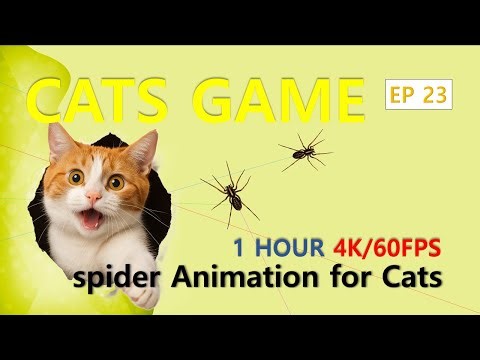 Cat Games – spider Animation for Cats | 1 HOUR / 4K 60FPS