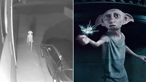 Video Analyst Weighs In on Whether Family Saw Dobby the House Elf on Home Security Camera