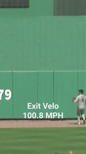 SPRING TRAINING HOMERS ARE BACK