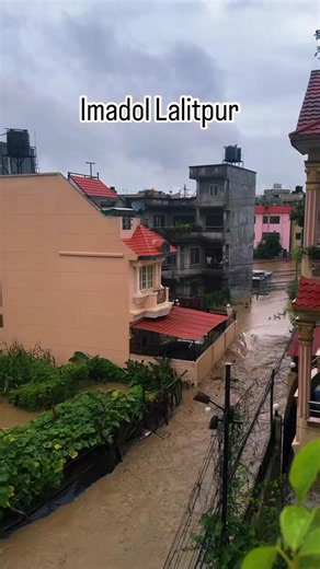 KTM Lalitpur Flood Alert: Rain Damage and Safety Tips