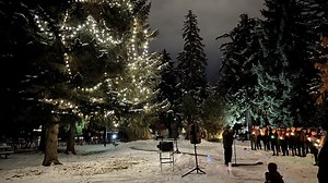 Tree of Life remembers those who have passed