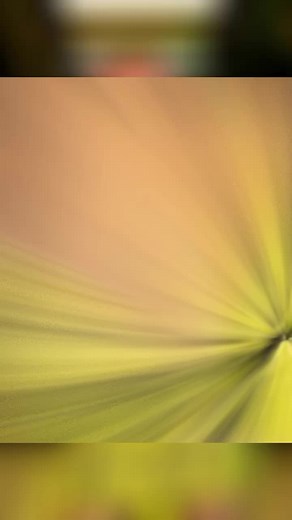 Mariana aventurera on TikTok