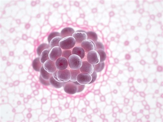 Stage 0 cancer: What is it and what are the early warning signs?