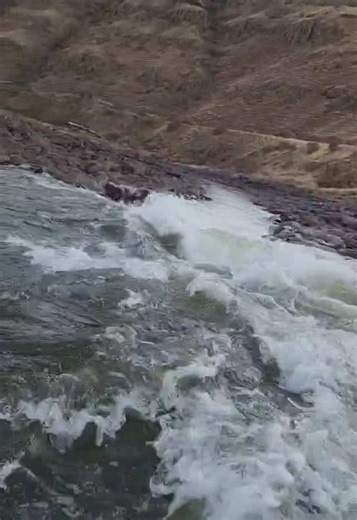 Missing Field Season in Fisheries