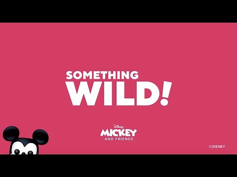 How to Play Something Wild!