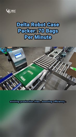 Delta Robot Case Packer: High-Speed Precision at 70 Bags/Minute