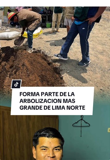 Arbolización y Voluntariado en Pachacútec