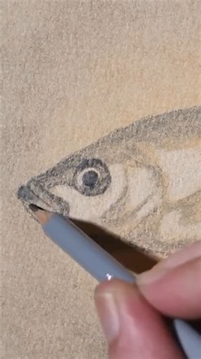 Jon Harris on Instagram: "How to Draw a Carp Fish #carpfish #carpdrawing #pencildrawing #vintagedrawing"