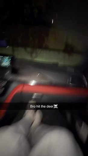 Honey man | David Gjokaj