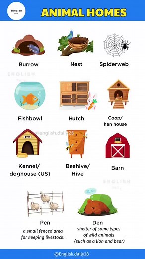 Animal homes #englishdaily #englishbasics #englishspeaking #englishvocabulary #englishforkids #learningenglish #dailyenglishspeaking