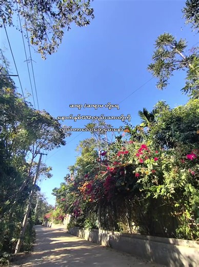 G12 နှစ်သချာ အပိုင်းများ အဆင်သင့်