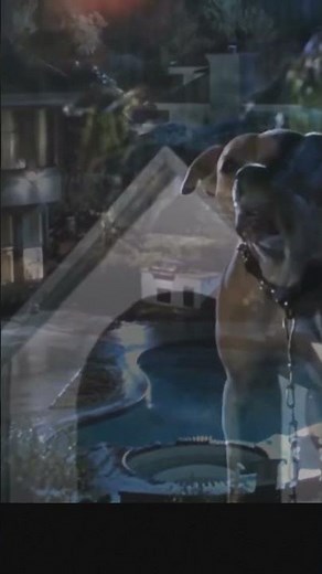 T-Rex Rampage in San Diego | The Lost World: Jurassic Park (1997) – Iconic swimming pool