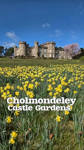 7.1K views · 13 reactions | Cholmondeley Castle Gardens is a...