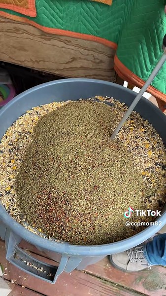 Simple Chicken Feed Mixing Method for Homesteaders