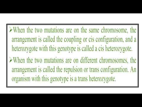 Complementation test Video No 1370