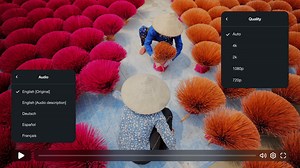 What are HTML5 video players, and which should you choose?