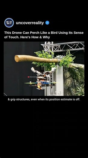 This Drone Can Perch Like a Bird Using Its Sense of Touch. Here's How & Why #drone #robot #shorts