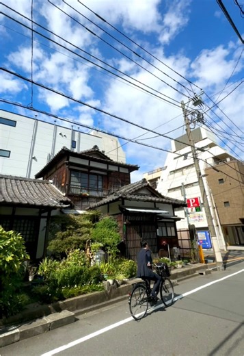 Exploring Beautiful Everyday Scenery in Tokyo