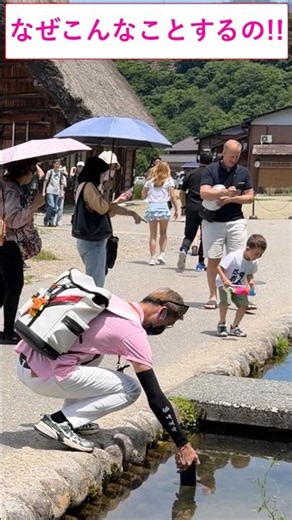 [なぜこんなことするの!!]外国人観光客は、初めて白川郷を訪れた際に感銘を受けます！#新幹線#外国人#日本