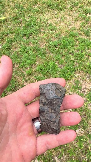 Did I Find a Meteorite? How to Identify a Meteorite