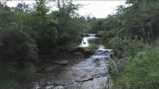 Escape to Briggs Woods Park for Iowa waterfalls and peaceful views