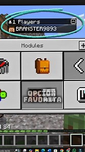 Todo lo que necesitas en UNA textura 🤧🤙 #minecraft #bedrock #texture #mcpe #mods #minecraftpe #util | branster_78