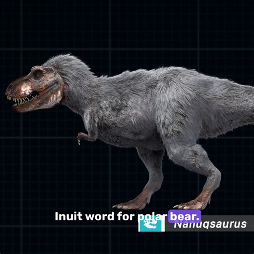 Recent studies reveal that Tyrannosaurus Rex, once known as the king of all dinosaurs, was actually smaller and weaker. 👑 🦖 #DinoWeek Learn more in #TRex: An Evolutionary Journey on #CuriosityStream! 📺 https://curiosity.tv/35f712z | Curiosity Stream