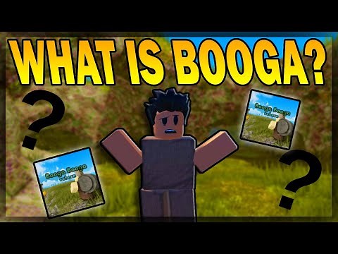 THE COMPLETE BEGINNER'S GUIDE OF BOOGA BOOGA REBORN!