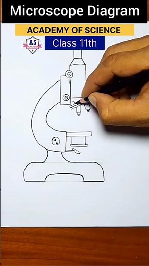 How to Draw a Microscope (Simple)🏆