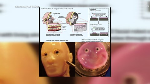 Verizon fined over 911 outage