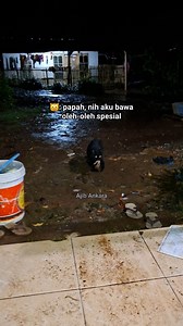 2.4M views · 21K reactions | : oleh-oleh spesial malam minggu  #funnycat #cat #cutecat | Ajib Ankara | Facebook