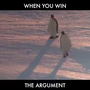 158 reactions · 27 shares | Videos on Reels | Facebook