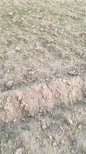 mini song best speaker testing