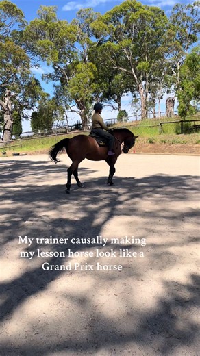 Trainer Transforms Lesson Horse into Grand Prix Star