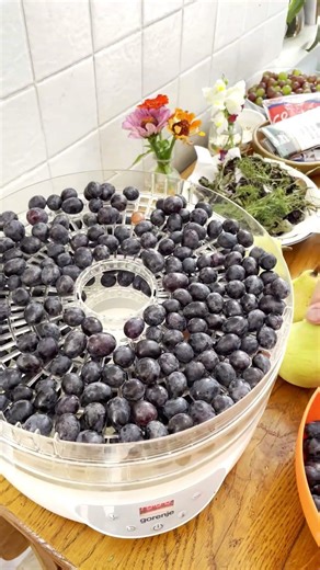 How to Make Homemade Raisins | Natural Dehydrated Grapes | No Additives