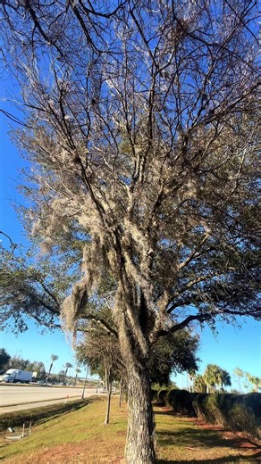 A null point (@a.null.point)’s videos with original sound - A null point