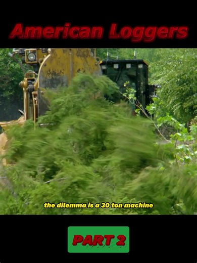 Exploring Logging Life with Heavy Machinery