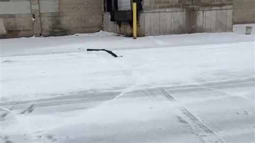 430K views · 679 reactions | Behold the Stop Stick. Engineered for...