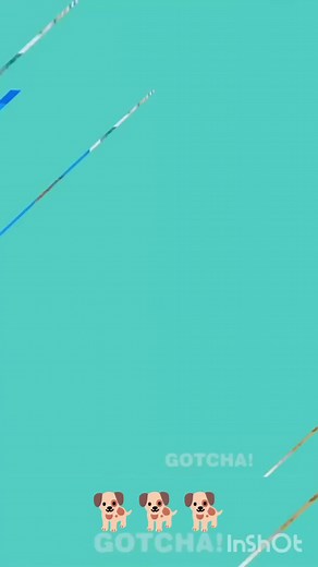 43K views · 354 reactions | #gotcha #video #viral | Gotcha Spanish vlog | Facebook