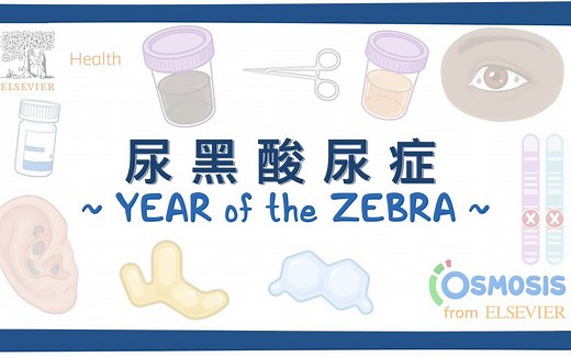 【Osmosis | 斑马年特辑】尿黑酸血症（中英字幕）