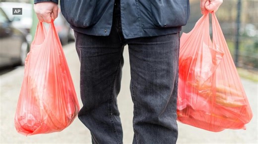 Ban on plastic bags is working for environment: Experts